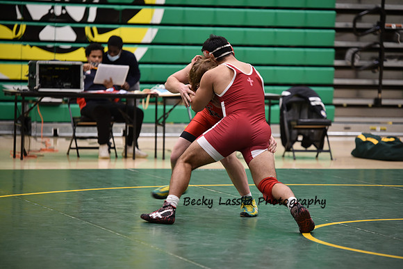 DSC_6946.jpg