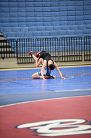 DSC_6520.jpg