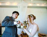 Cake Cutting