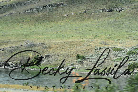 DSC_9352.jpg
