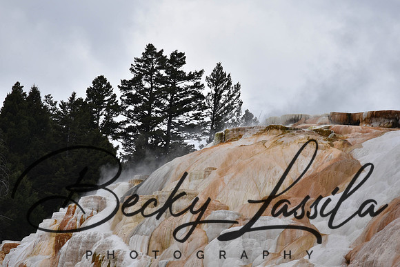 DSC_9412.jpg