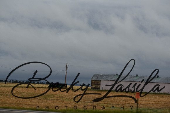 DSC_9323.jpg